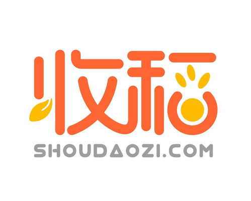 收稻网络科技 立足上海，引领计算机软硬件技术开发新篇章