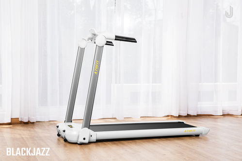 产品精修 健身器材与网络科技的融合创新